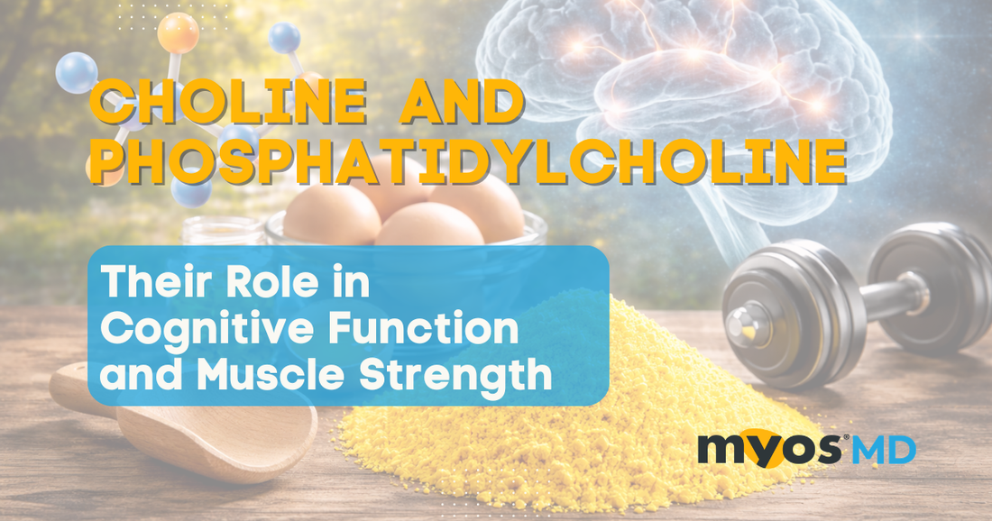 Choline and Phosphatidylcholine: Their Role in Cognitive Function and Muscle Strength